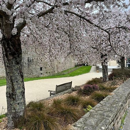 La Casa De Sophie T3 Avec Jardinet, Parking Prive - Port De Vannes Zewnętrze zdjęcie